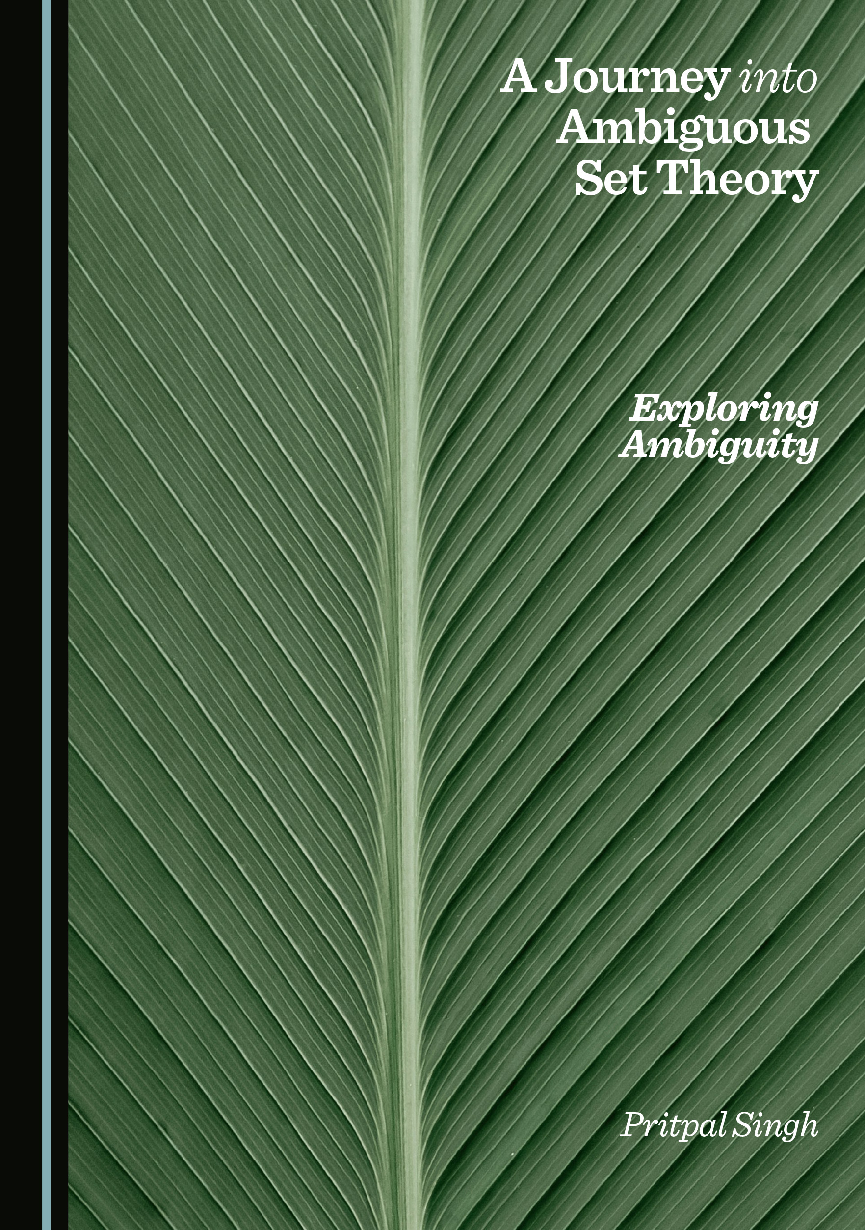 Ambiguous Set Book